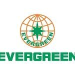 Evergreen